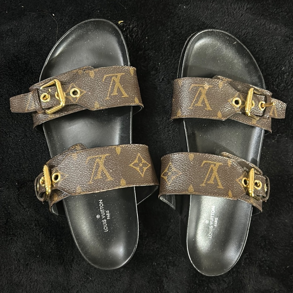 Women’s Louis Vuitton sandal slides (luxury)